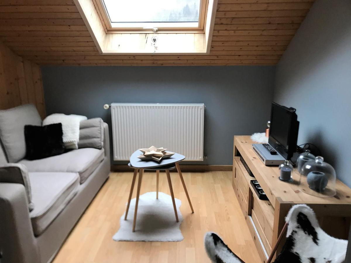 Charmant Appartement 2-4 Personnes Entre Annecy Et Aravis Thônes Buitenkant foto
