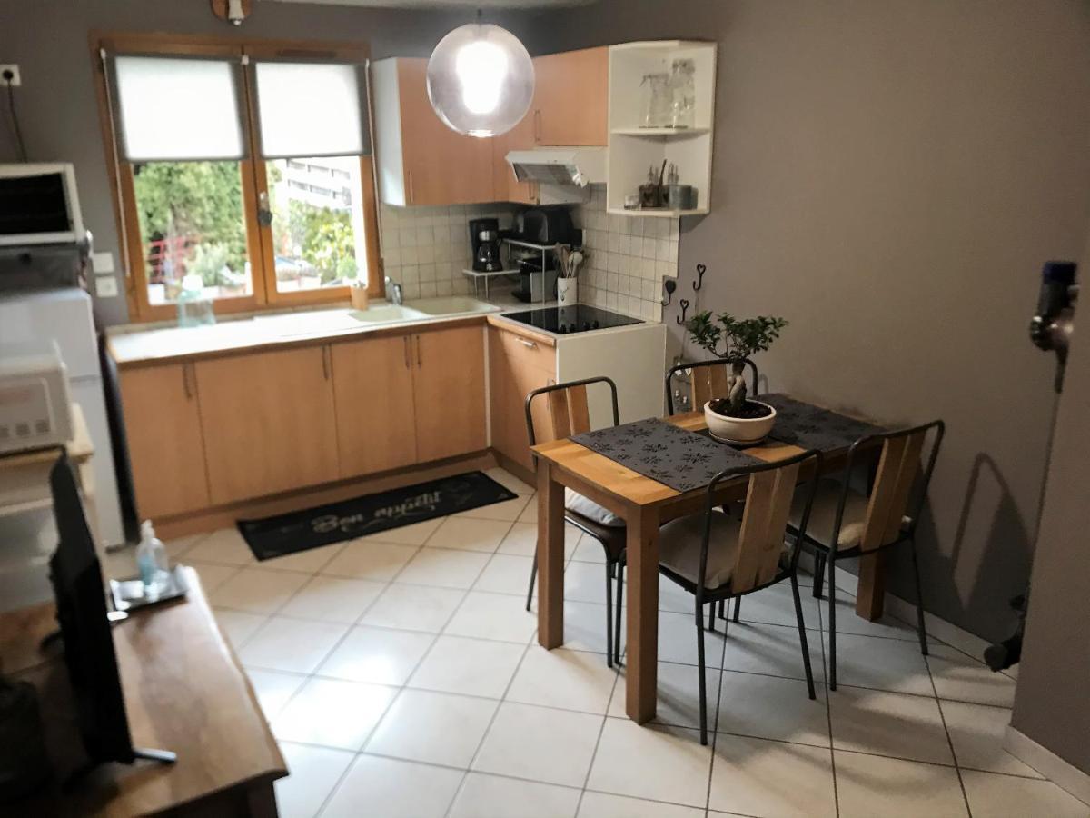 Charmant Appartement 2-4 Personnes Entre Annecy Et Aravis Thônes Buitenkant foto